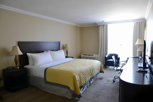 Edward Hotel North York image 14