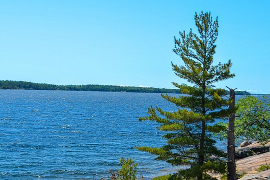 Tour image 7